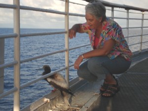FSBirdNancy