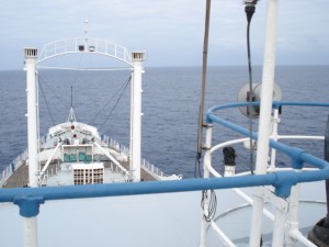FSDC2
