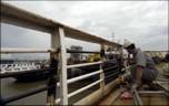 caribbean mercy