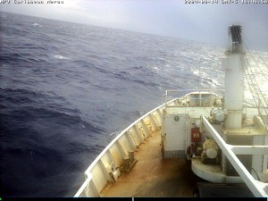 caribbean mercy